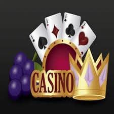 bgd333 sports hub featuring cricket football tennis and casino-style categories